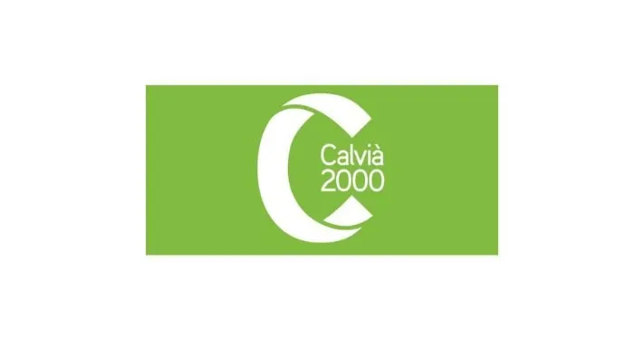Calvia 2000 Success Story